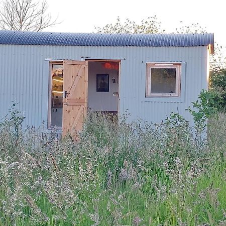 Doris Villa Wedmore Eksteriør billede